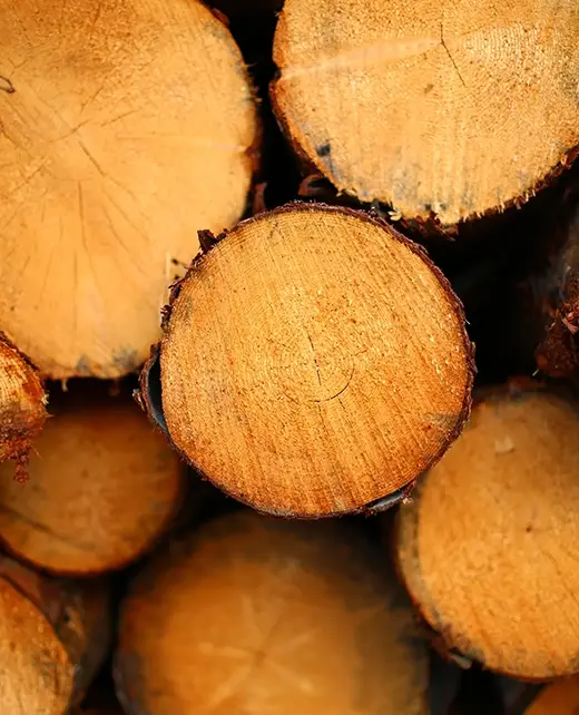 Kents Michigan Lumber Sawmill